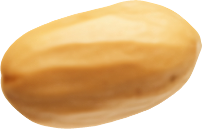 Cacahuate